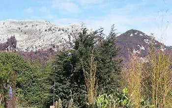 Bisabuela Martina * Льендо