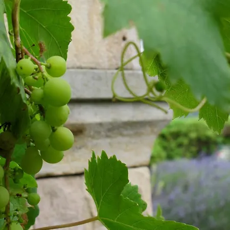 Bisabuela Martina * Liendo